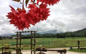 Casa Vacanze Agriturismo San Floreano